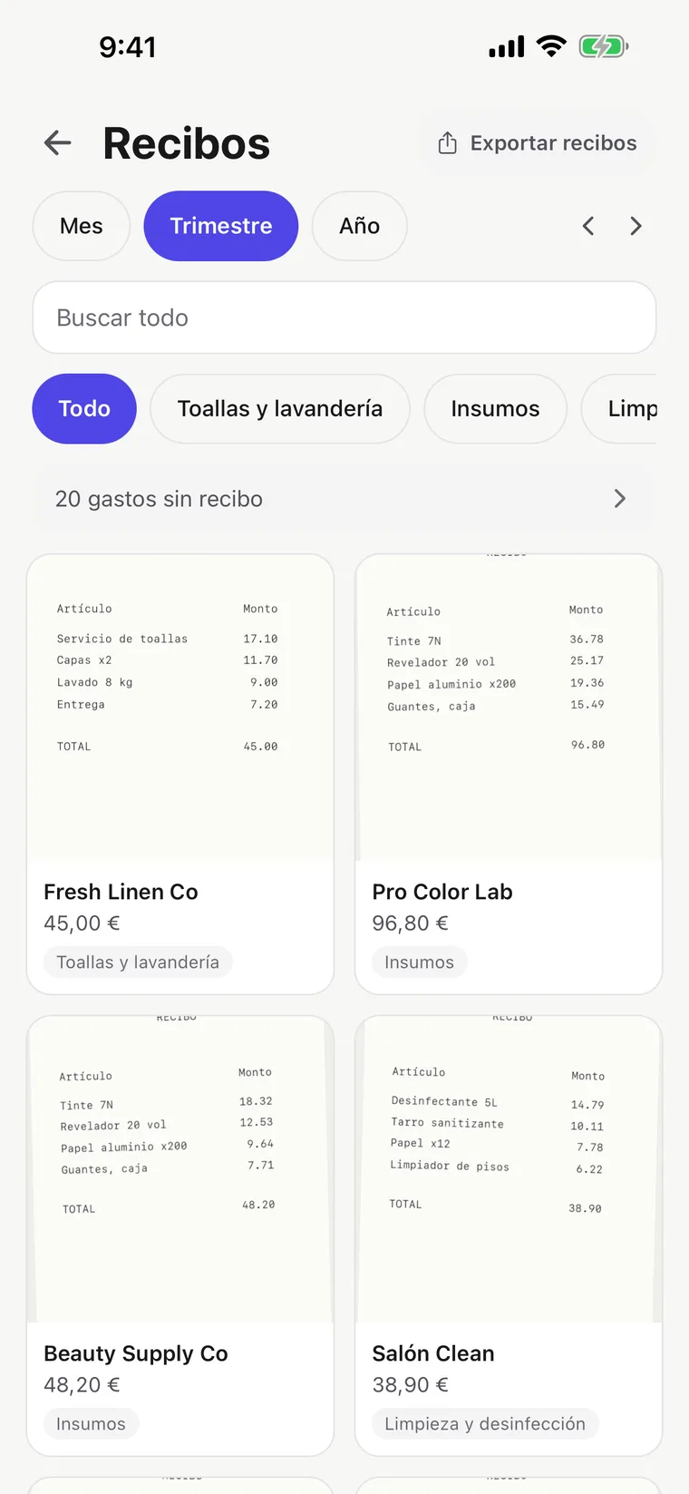 Pantalla de recibos: recibos fotografiados y organizados por categoría